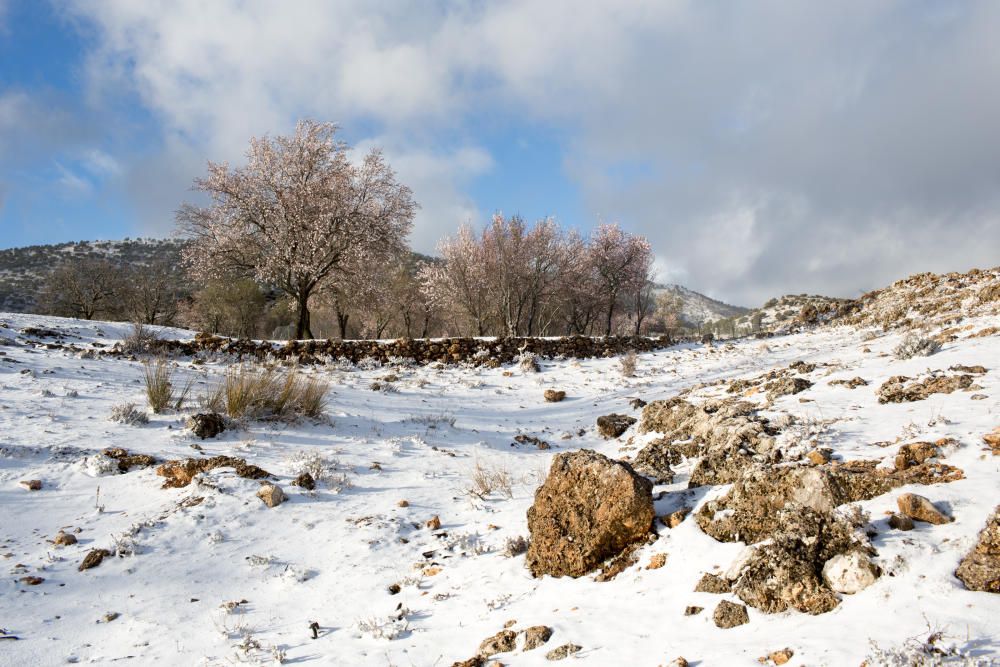 Primeras nieves en la Región