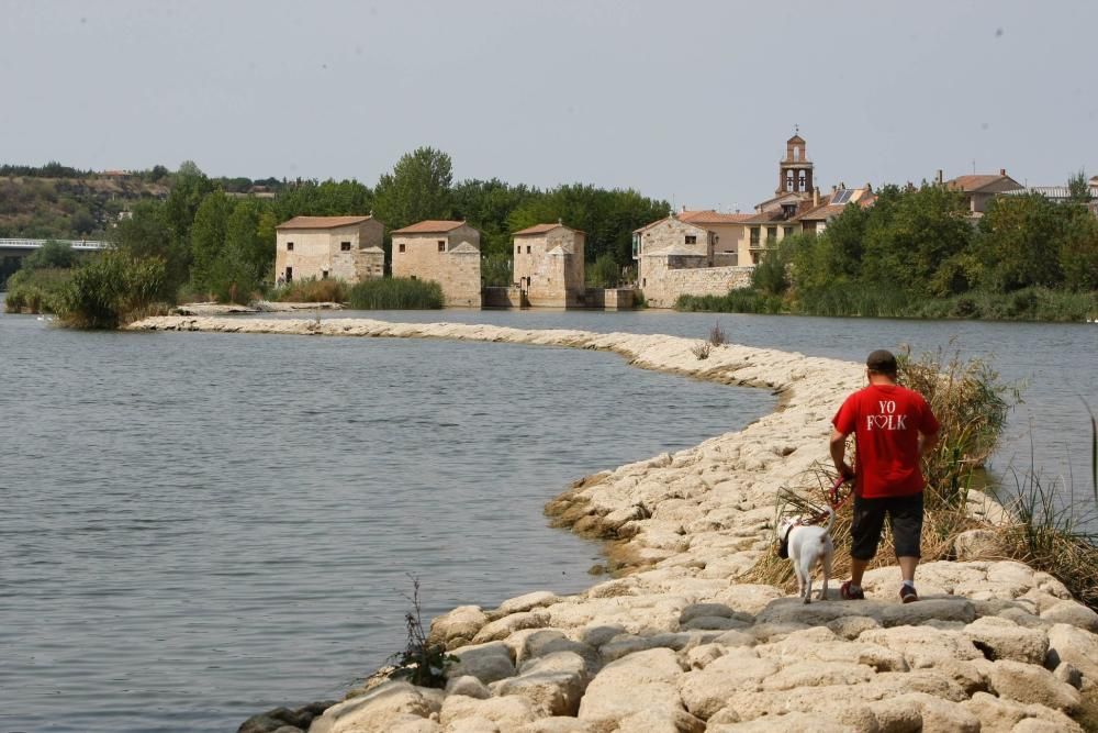 Sequía en Zamora: El Duero, bajo mínimos