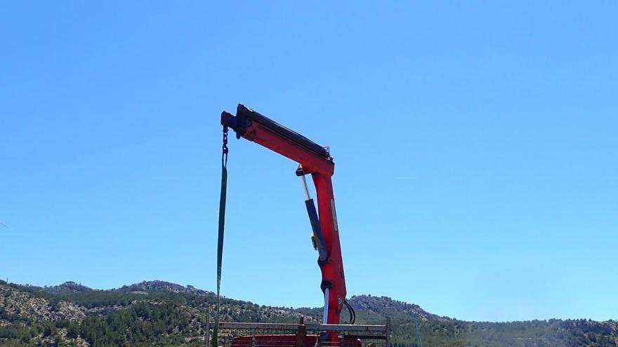 Las imágenes de la retirada de residuos marinos en Sant Elm