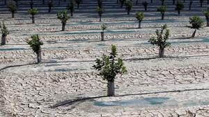 zentauroepp50331792 grafcva8402  orihuela  alicante   10 10 2019   vista general200702153509