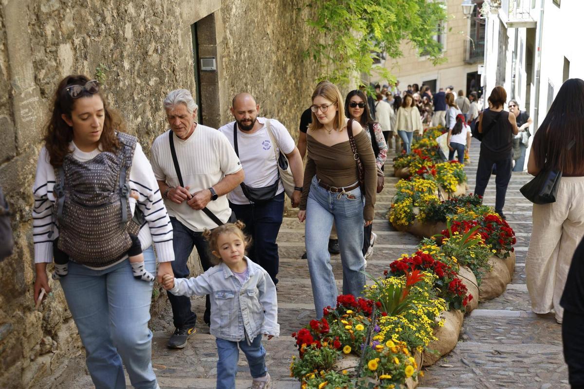 Les imatges de l'últim dissabte de Temps de Flors 2026