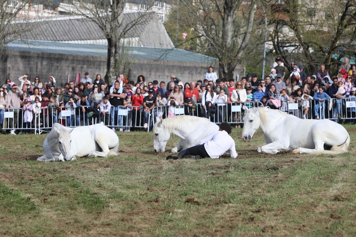 La XXXV Feira do Cabalo de Lalín cerró ayer su segunda y última jornada con una notable afluencia de público