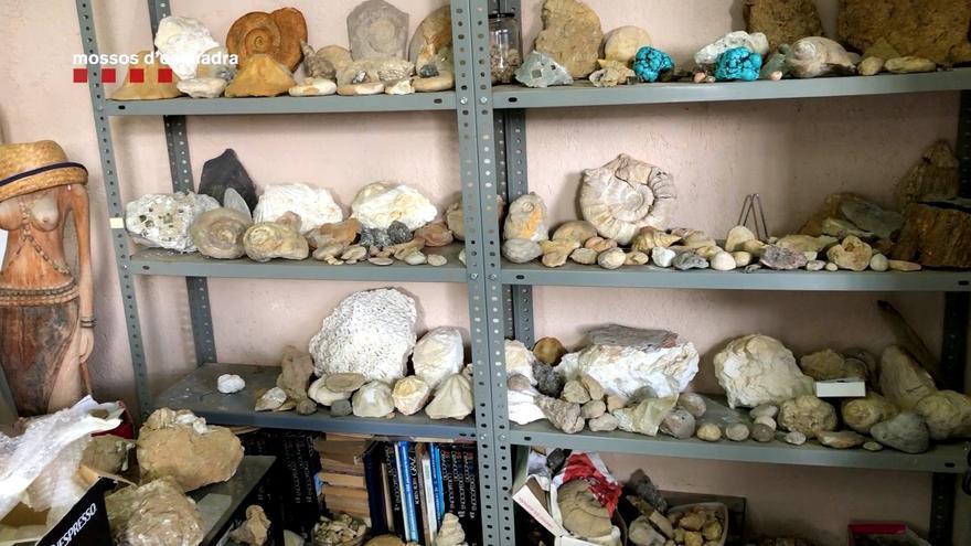 Denunciat per espoliar centenars de fòssils i restes paleontològiques de jaciments catalans durant prop de 30 anys