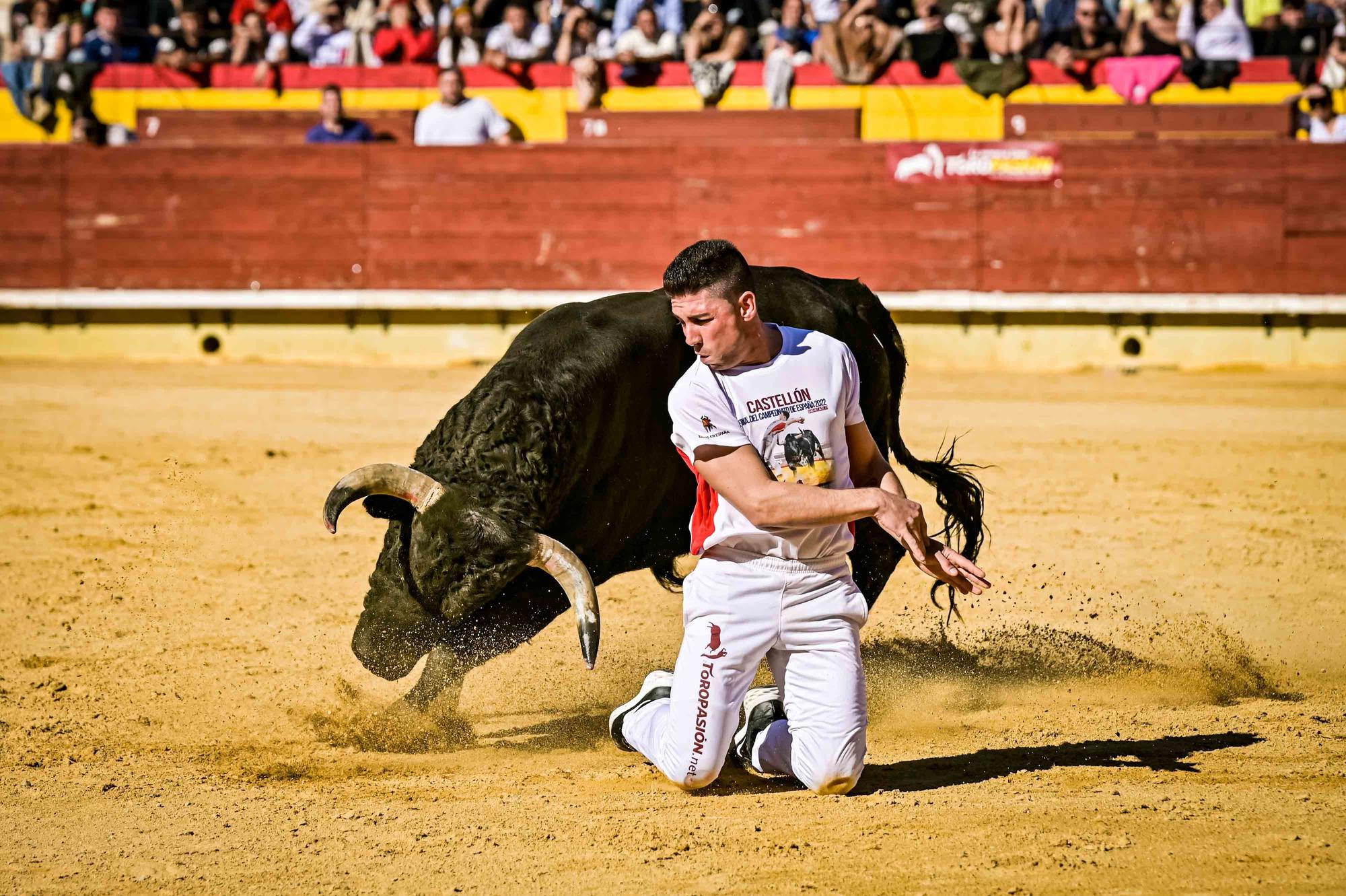 Final del campeonato de España de recortadores en Castelló