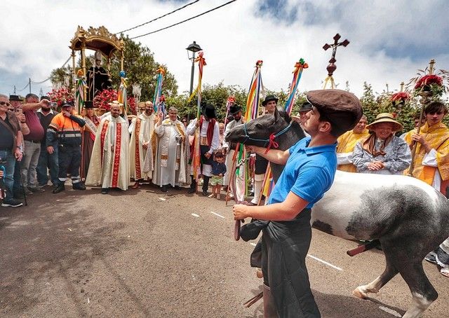 Feria de ganado y procesión por las Fiestas de San Benito en La Laguna, julio 2022