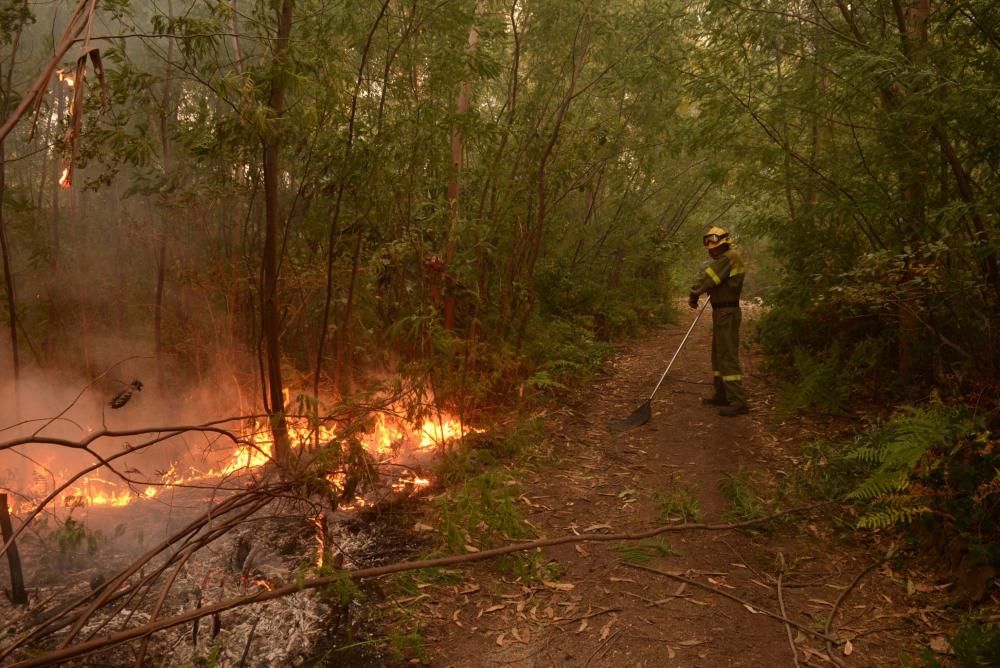 El fuego arrasa 6.000 hectáreas en Galicia