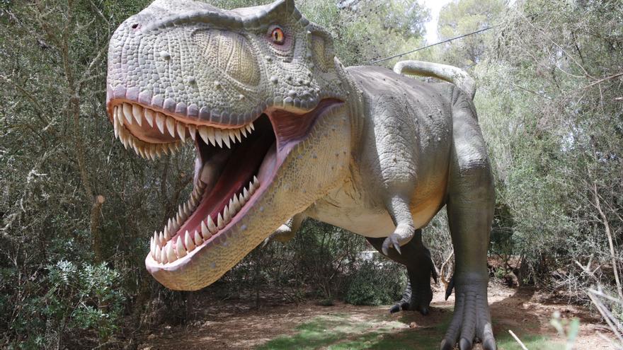 Neue Besucherattraktion: Mallorca hat jetzt auch einen großen Dino-Park