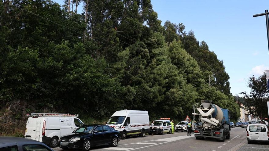 La caída de un gran eucalipto colapsa el acceso a Gondomar