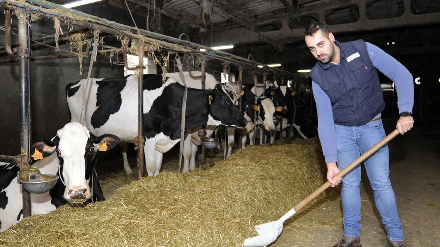 Crean unha base de datos para favorecer a remuda xeracional nas explotacións lácteas galegas