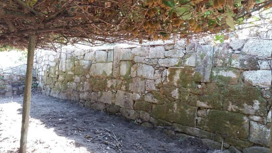 Muro con ventanucos tapiados que separa la zona de kiwis del arbolado de la finca.   | // FDV 