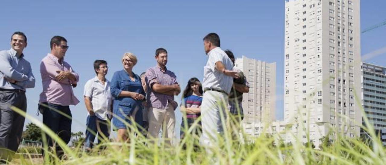 Valencia quiere reintroducir  la &quot;rata penada&quot; en l&#039;Horta para acabar con las plagas