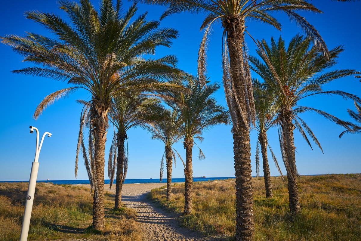 El Grau de Castellón es un histórico barrio marinero