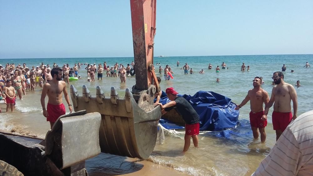 Bala de paja hallada en la playa de Gandia