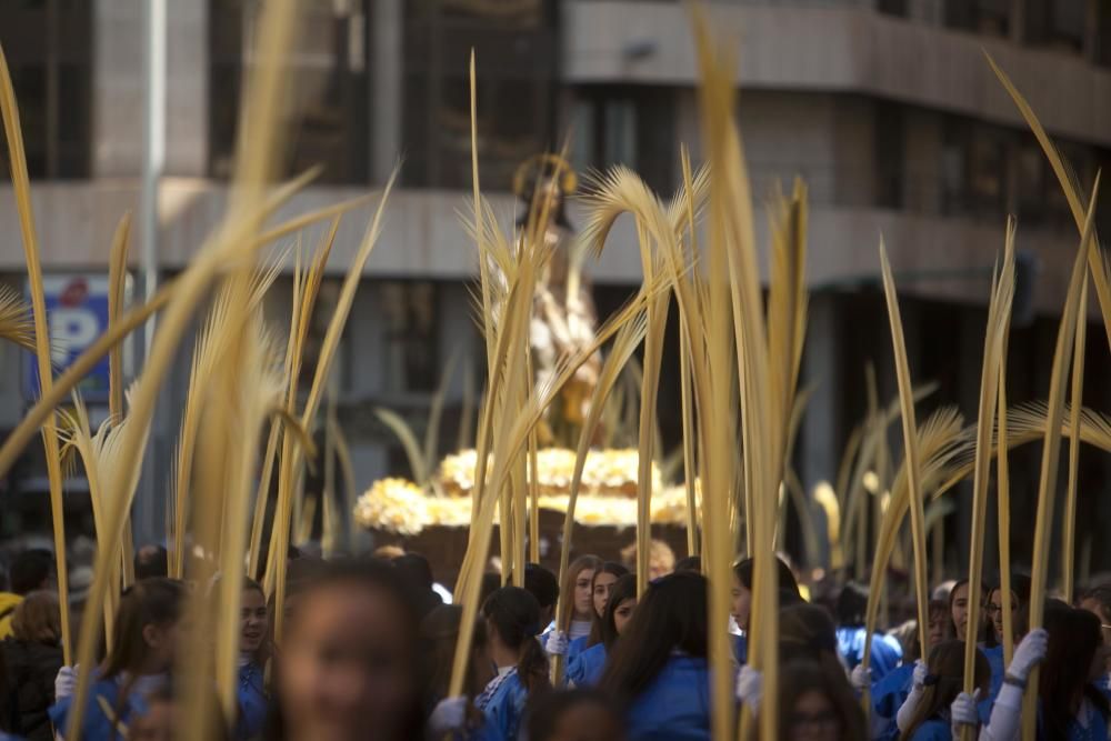 Domingo de Ramos en Elche