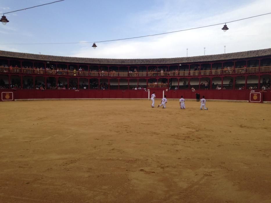 Fiestas Toro- concurso de jóvenes cortadores