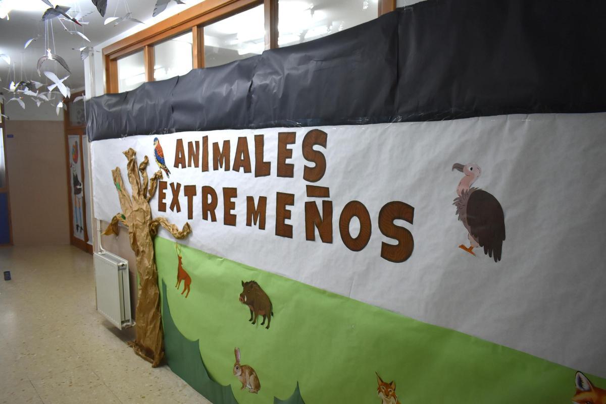 Fotogalería | Ciencia y naturaleza llenan el 'Licen' de Cáceres en su Semana Cultural