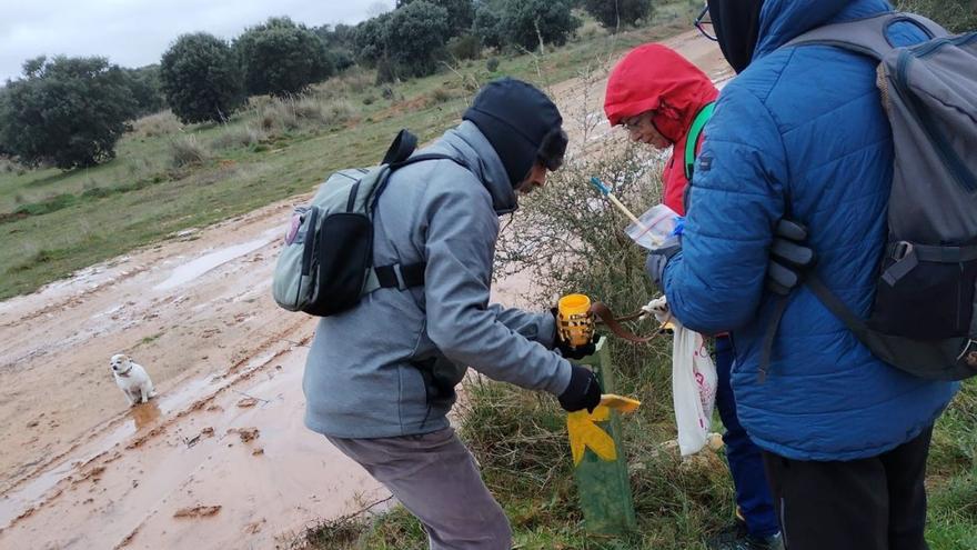 Un grupo de voluntarios mantiene la señalización del Camino de Santiago por Zamora.