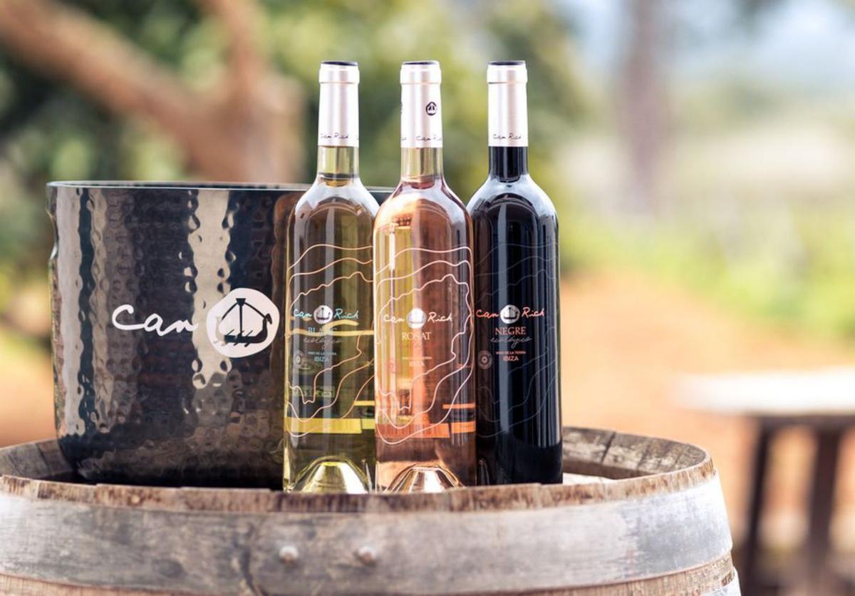 Los vinos de 2024 destacan por ser aromáticos, suaves pero vibrantes y sabrosos. | FOTOS: CAN RICH