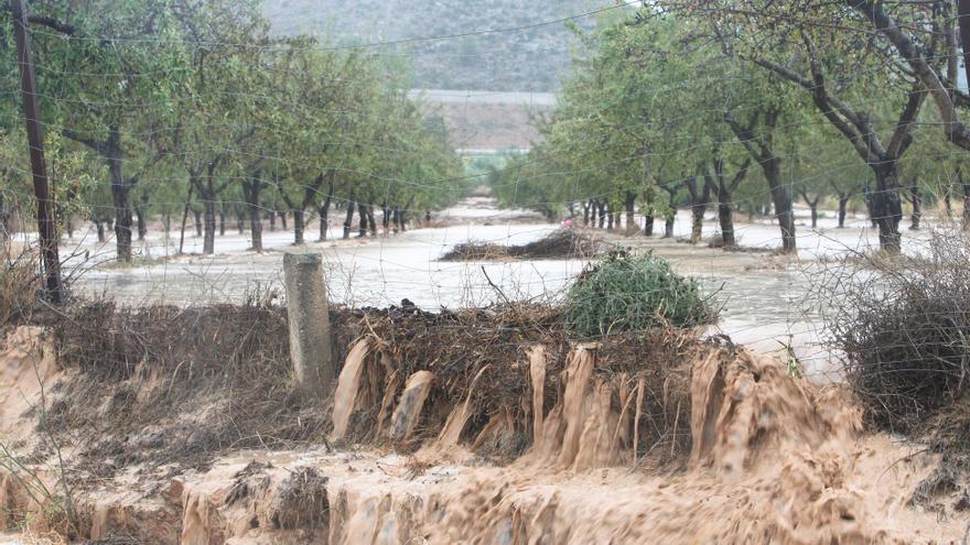 El infierno burocrático impide a la Font ejecutar las ayudas por la DANA de 2019 dentro del plazo