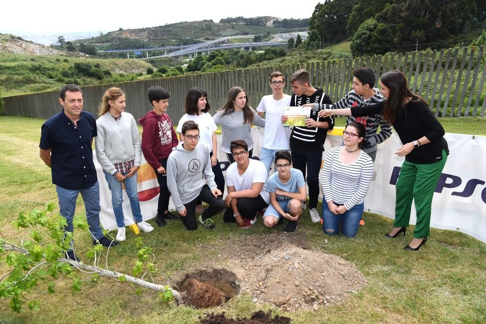 La refinería de A Coruña entrega los premios del concurso de limpieza y reciclaje en las aulas, en el que han participado 316 alumnos del centro arteixán. También plantaron un liquidámbar americano.