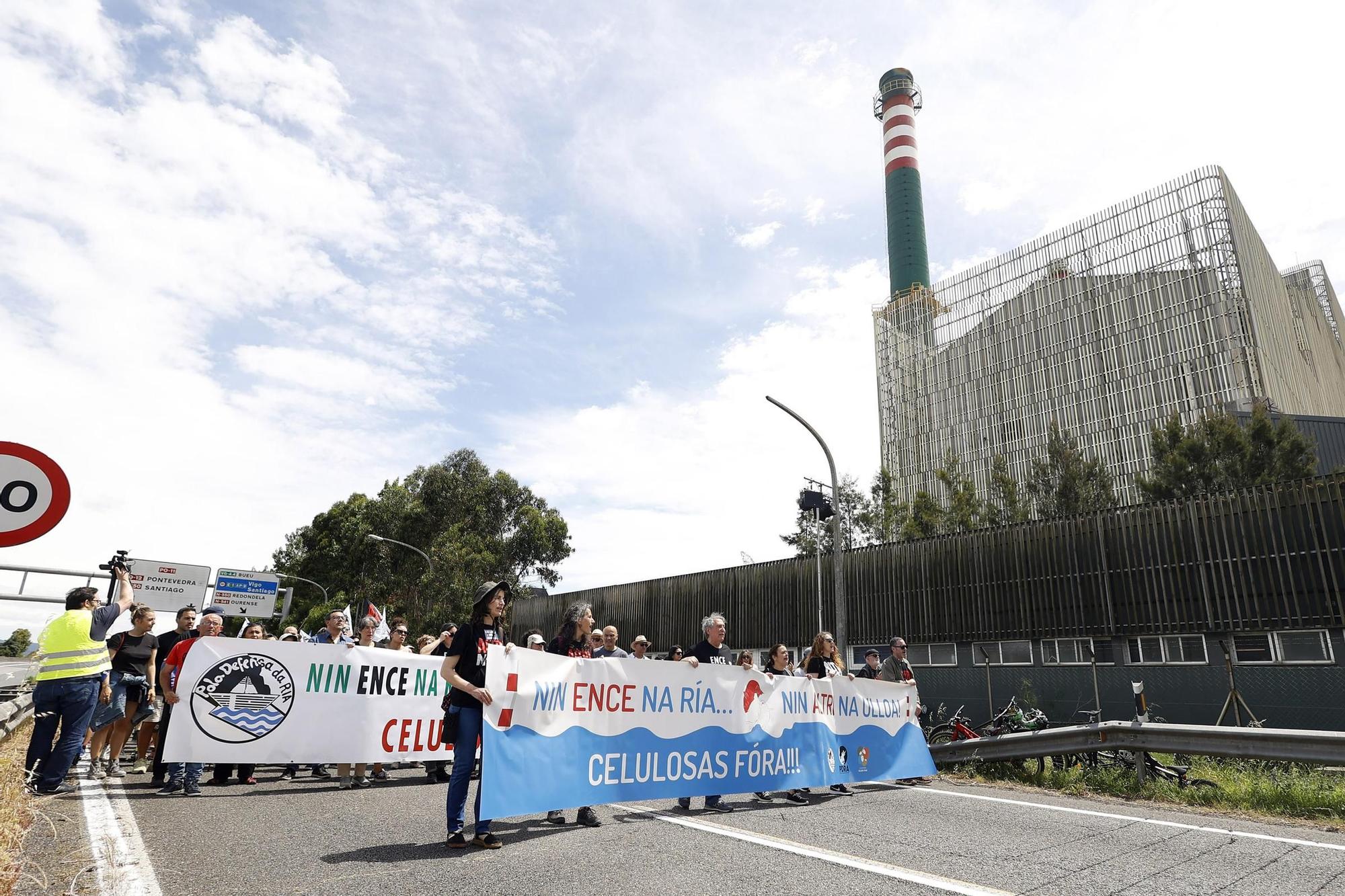 Miles de gallegos marchan de Pontevedra hasta Lourizán en protesta por las celulosas de Ence y Altri