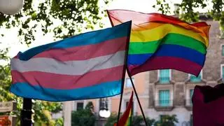 Ayuso reforma las leyes trans y LGTBI con el rechazo de la izquierda y el respaldo de Vox