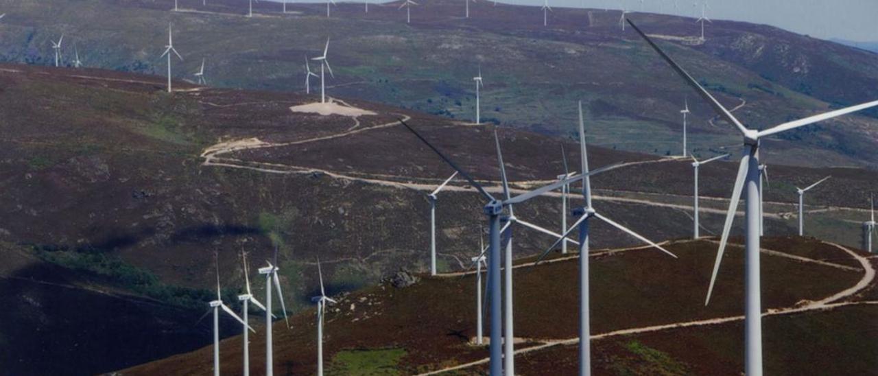 Molinos de viento.