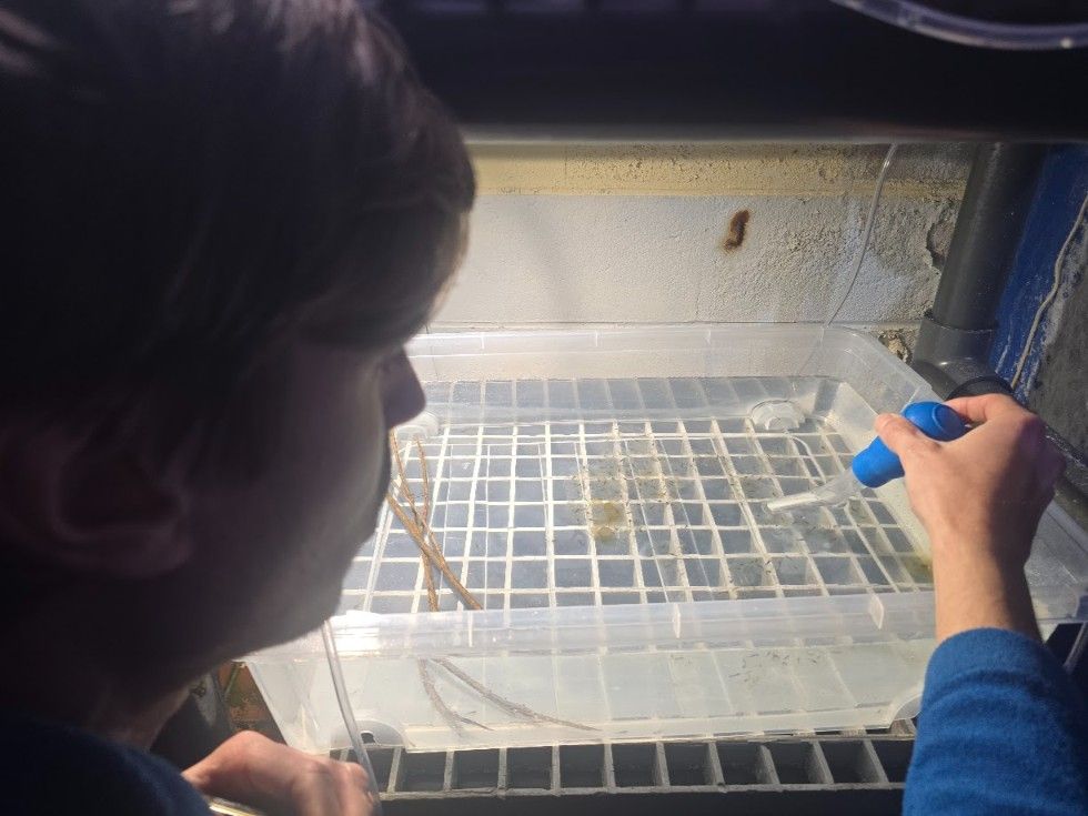 Las instalaciones del Acuario O Grove, en Punta Moreiras.