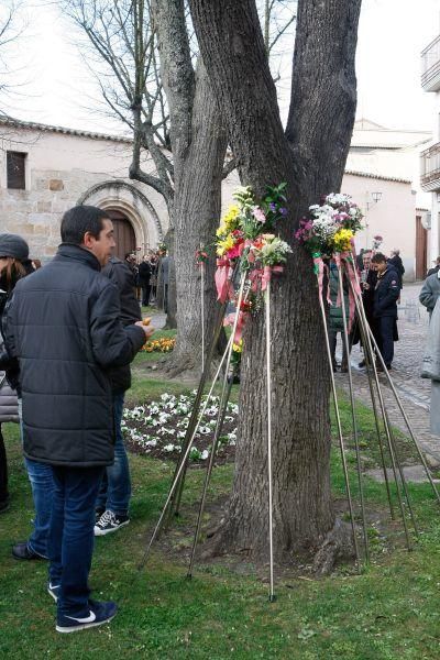 Procesión de la Santísima Resurrección