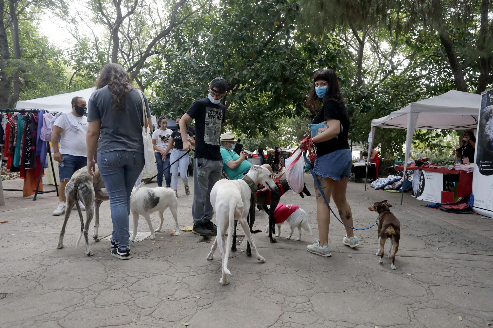 ¡Qué animalada!