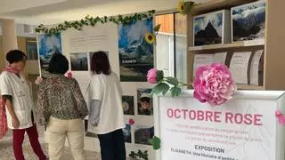 L’Hospital de Cerdanya dedica una jornada al càncer de mama i a l’acompanyament de les pacients