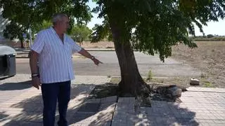 "Llevamos más de tres años esperando": El barrio de La Granadilla pide la reforma de sus parques y calles