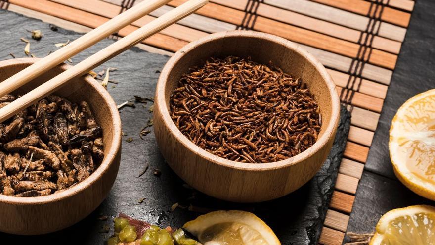 Comer insectos: la última solución contra el colesterol