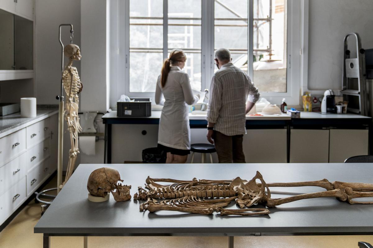 El departamento de Paleopatología del MAC, con el esqueleto de una mujer joven de la época medieval sobre la mesa.