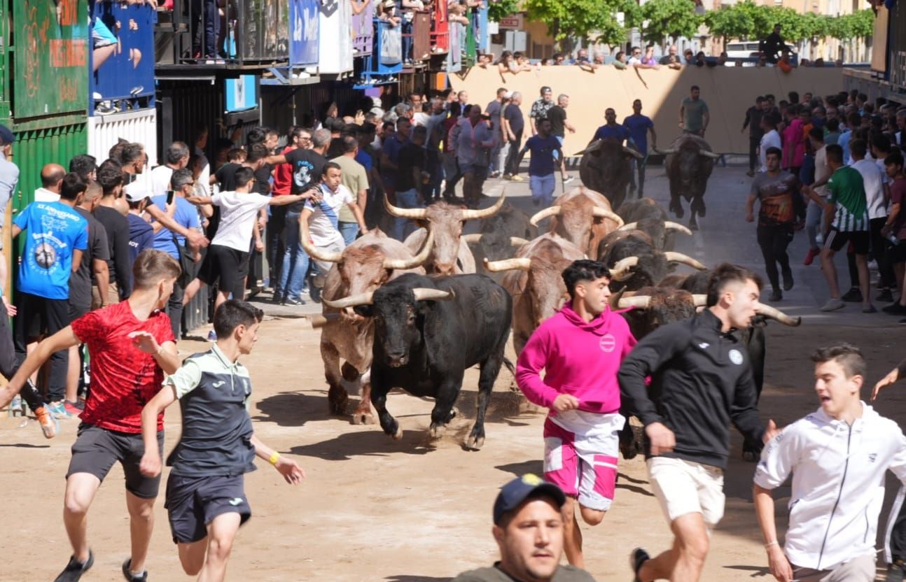 Galería: El primer encierro de las fiestas de Sant Pasqual 2023 en imágenes