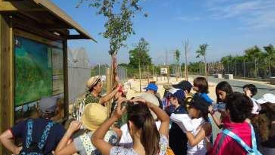 110 alumnos recorren la Vía Verde del ferrocarril