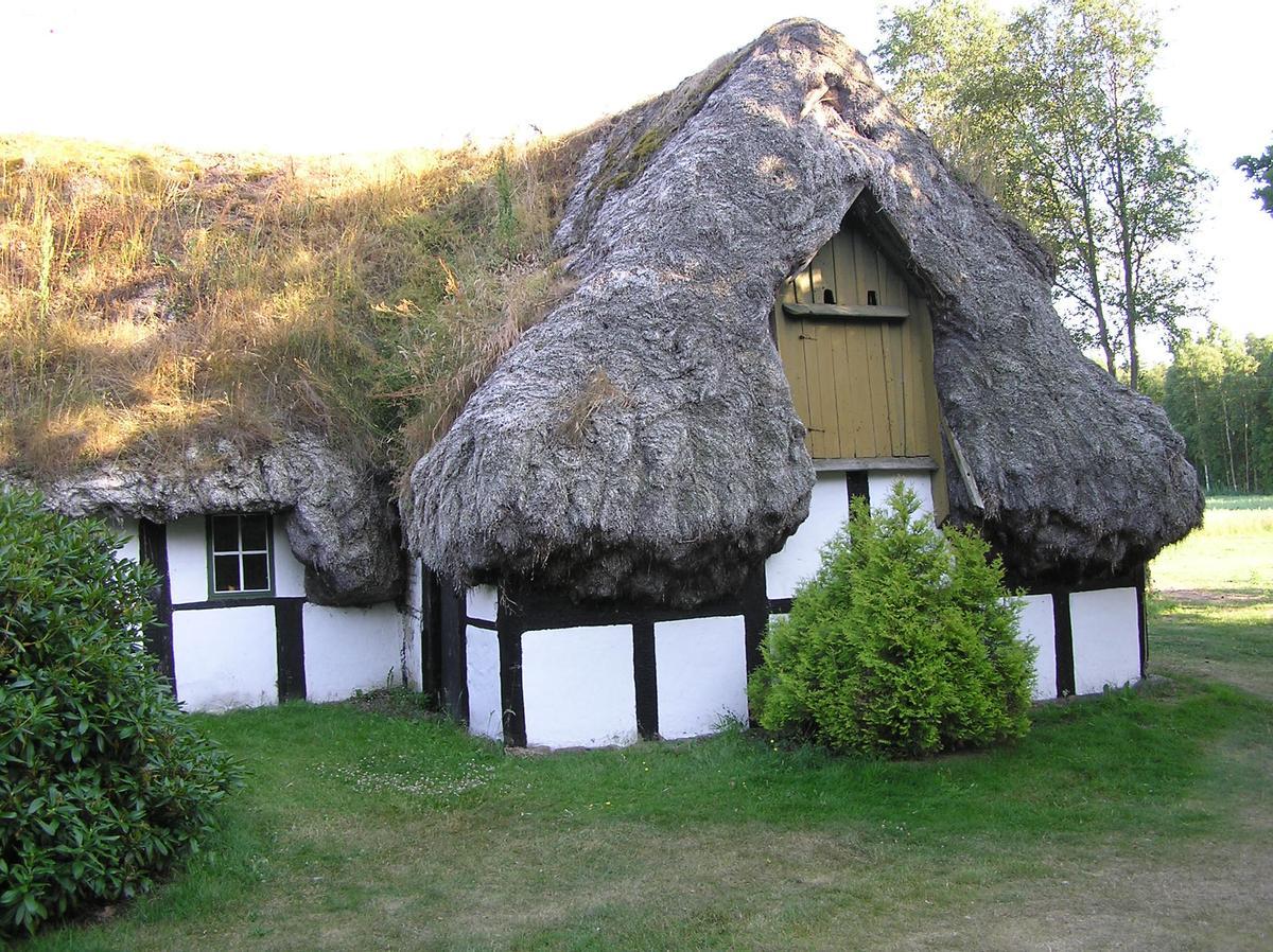 Casa tradicional danesa techo cubierto con hojas secas de zostera marina.