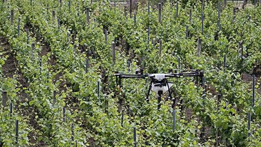 Un dron con pulverizador fitosanitario.