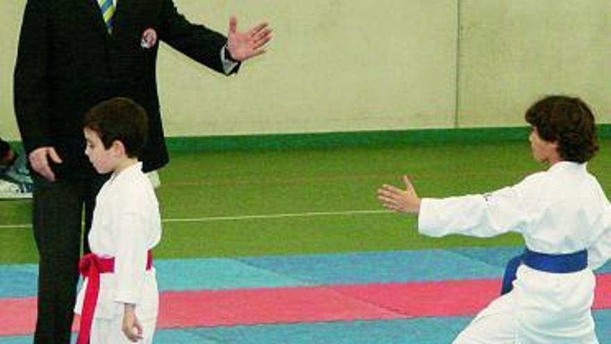 Participantes en el Campeonato de Asturias de goshin shobu. /j. muñíz