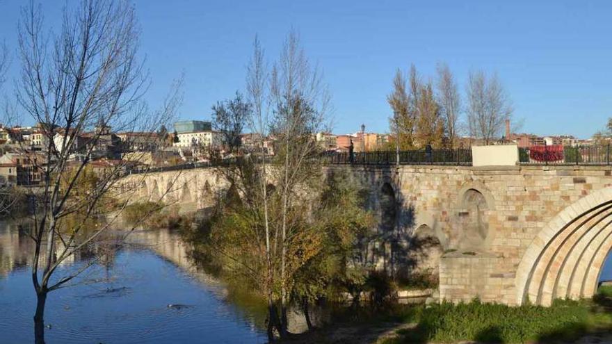 Vista del Puente de Piedra desde la margen izquierda del río Duero.