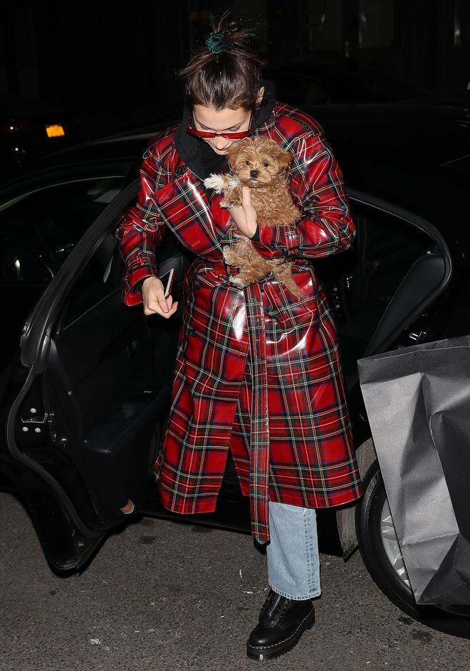 Bella Hadid pasea con su perrito