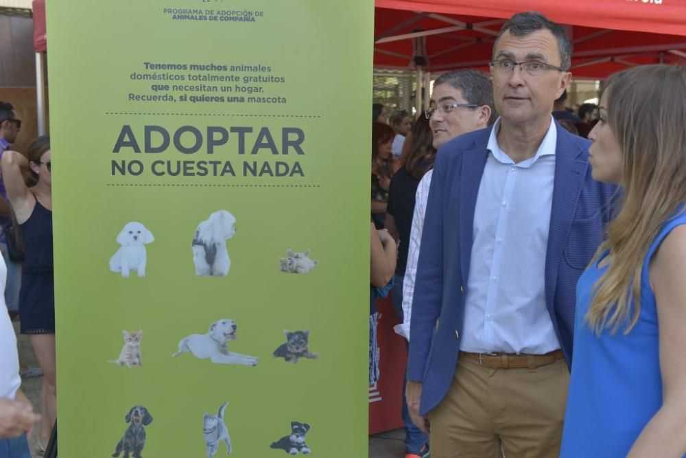 La perrera de Murcia saca sus animales a la calle