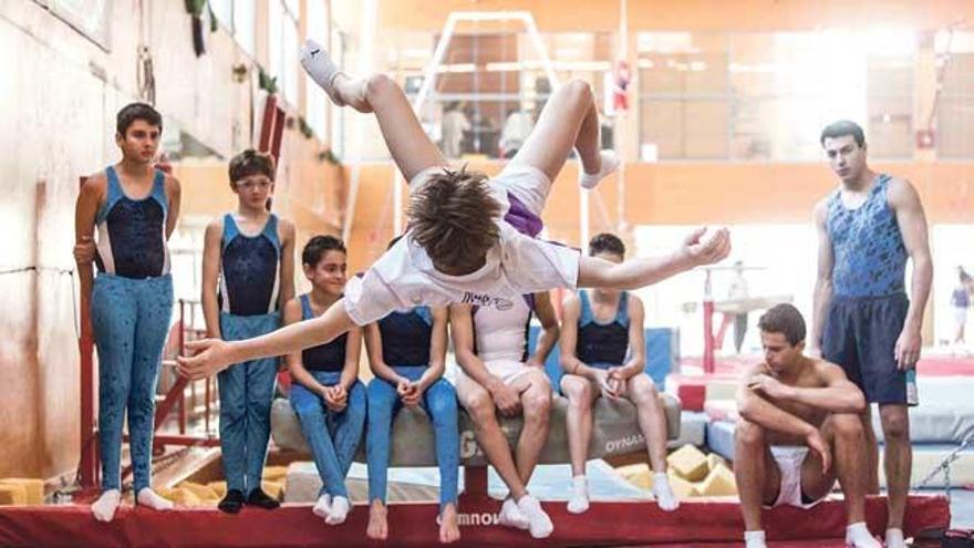 Quinta Diada de gimnasia artística masculina en el Centre de Tecnificació