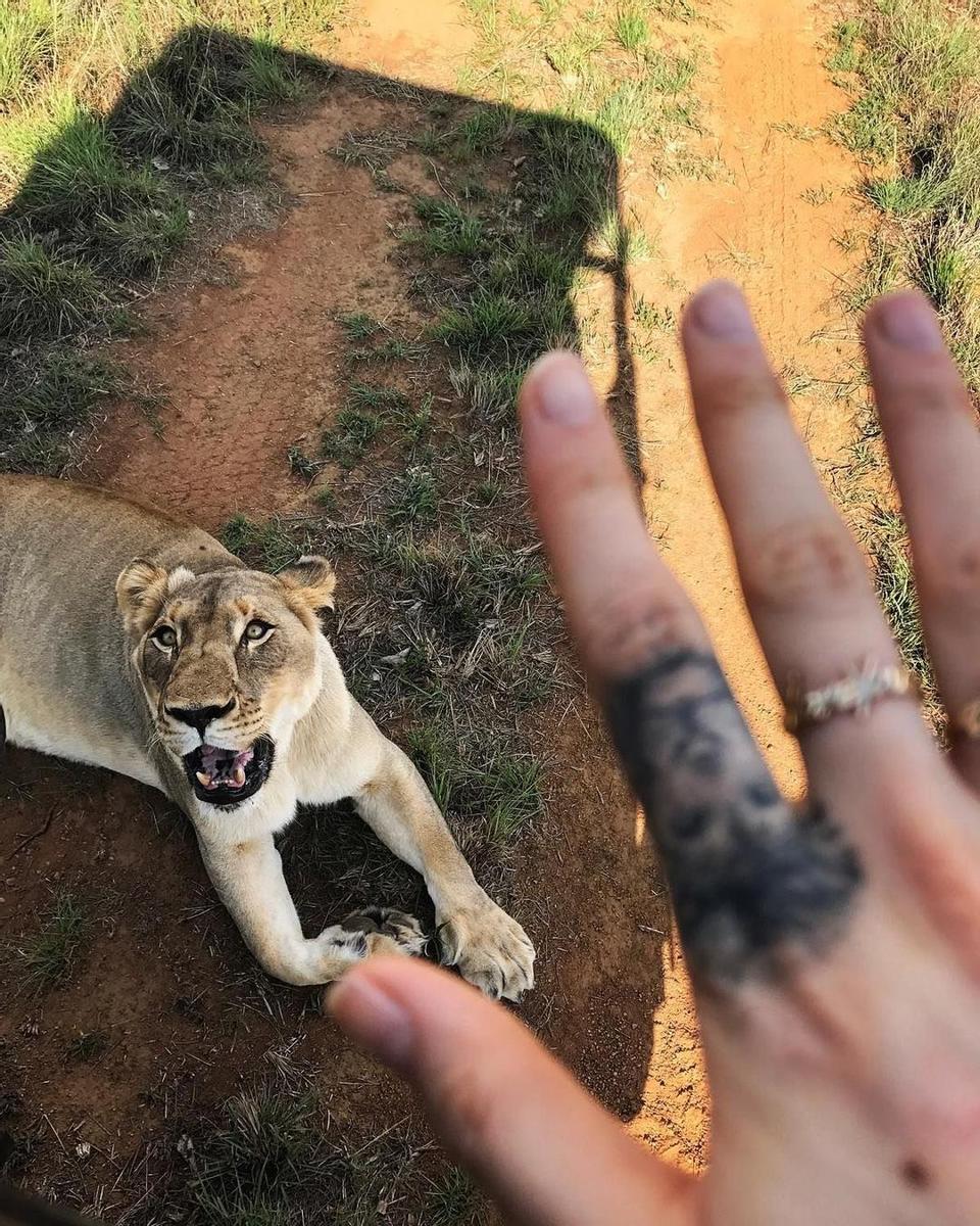 El león en el dedo de Cara Delevingne