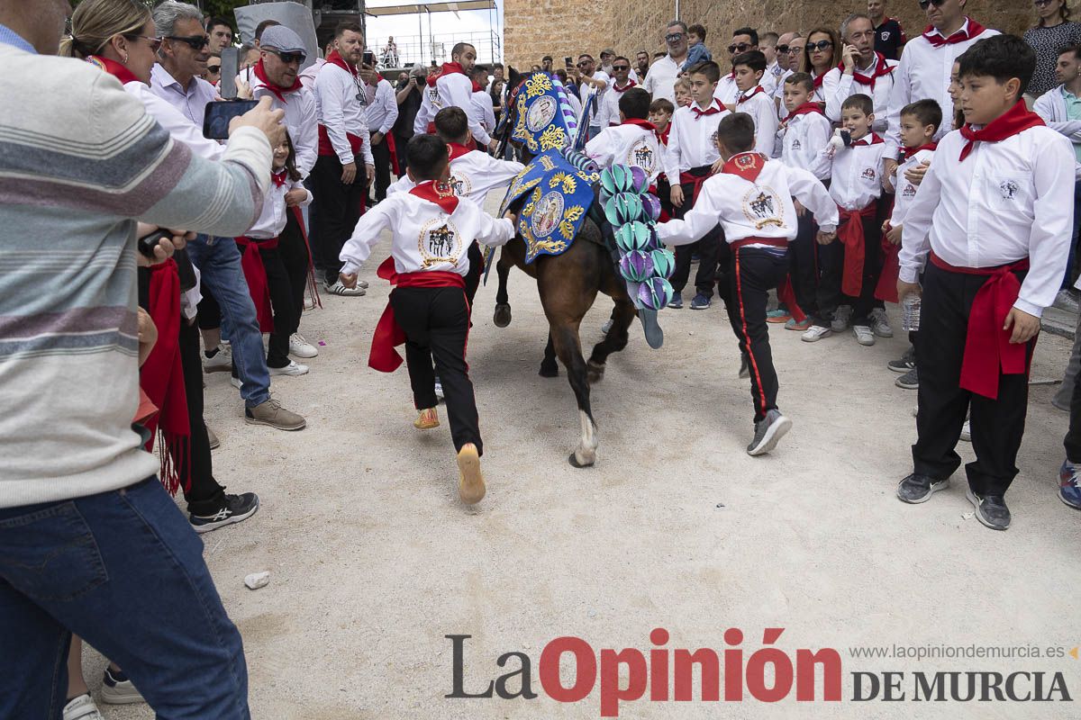 Fiestas de Caravaca | Desfile infantil del Bando de los Caballos del Vino