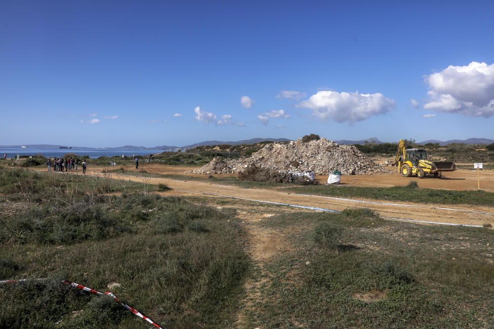 la reforestación de es Carnatge comenzará  en noviembre