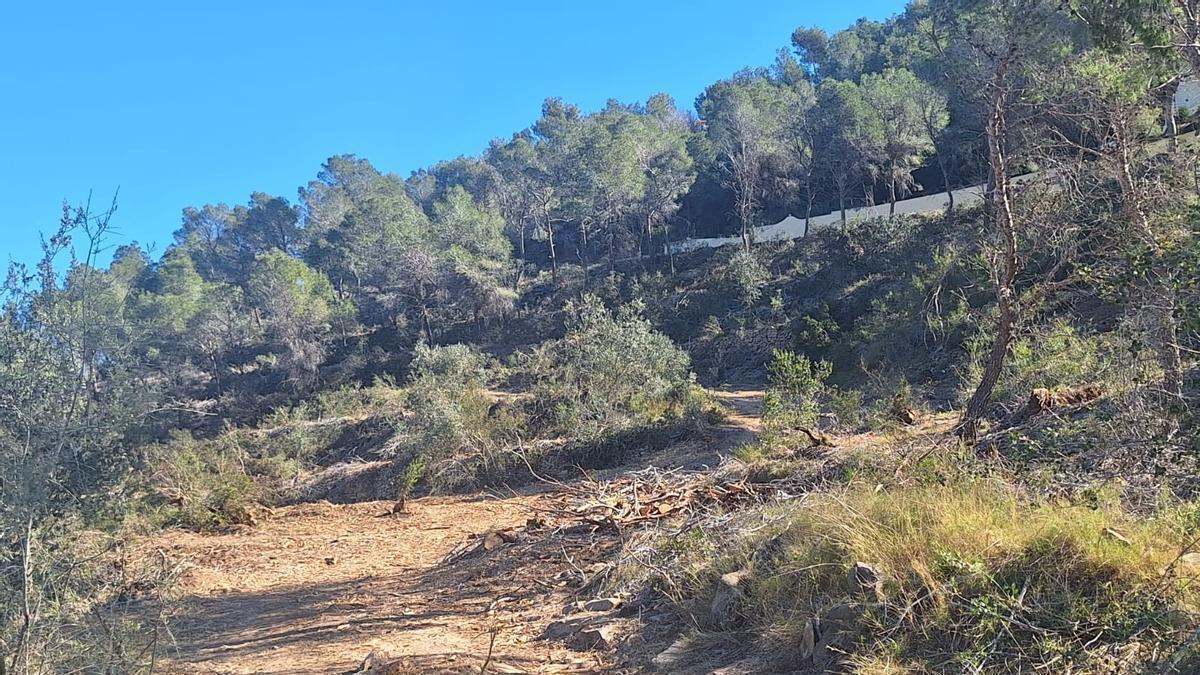 Las zonas verdes de Empedrola I y II son áreas municipales de gran extensión rodeadas de zonas residenciales.