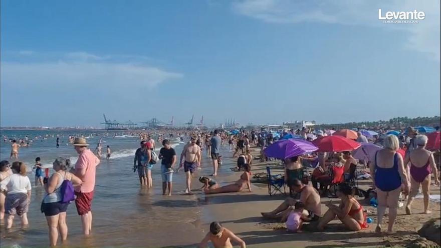 Euforia en la Malva-rosa por el eclipse: jornada de playa más fenómeno astronómico