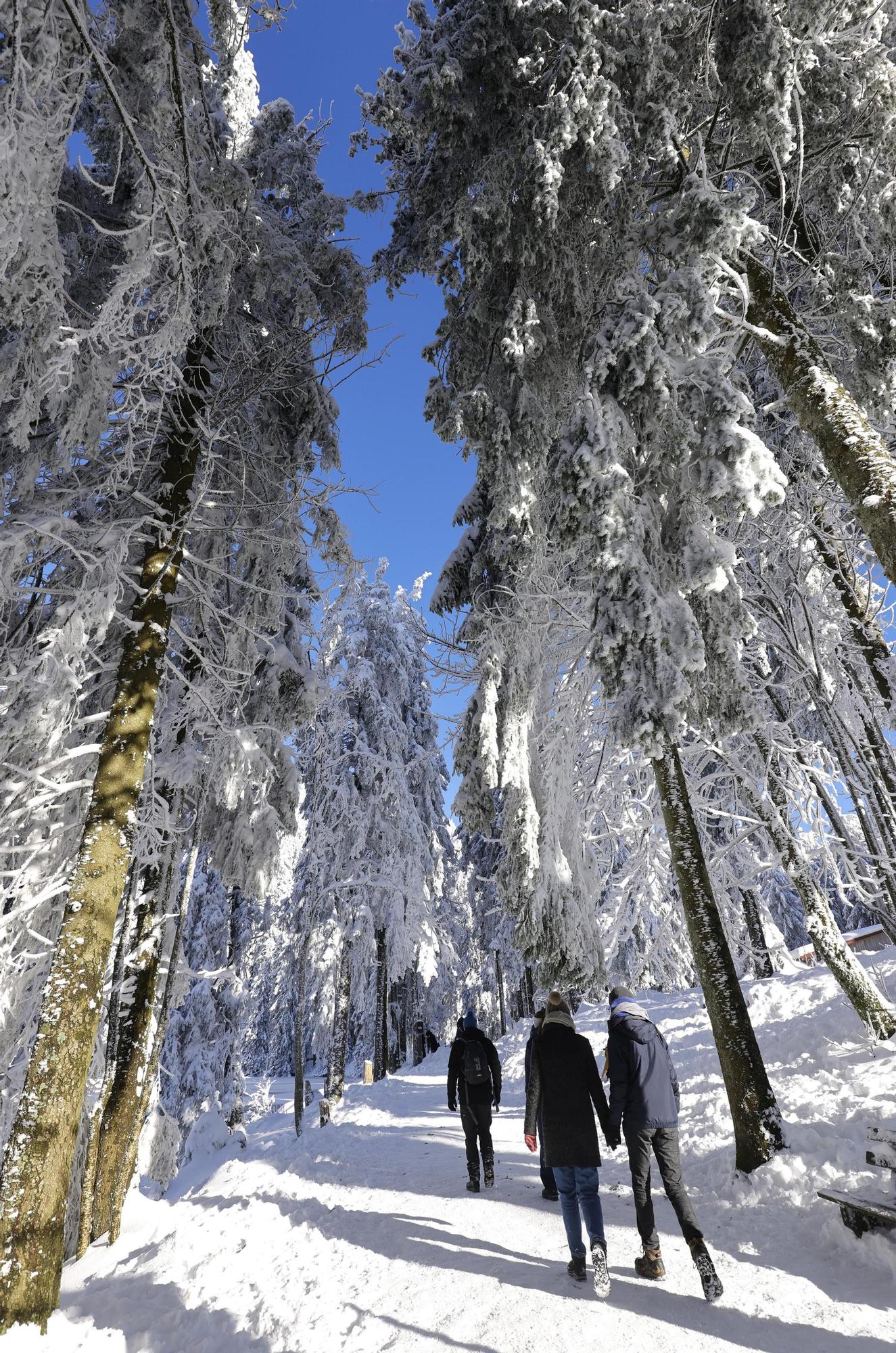 FOTOS | Grandes nevadas en Alemania