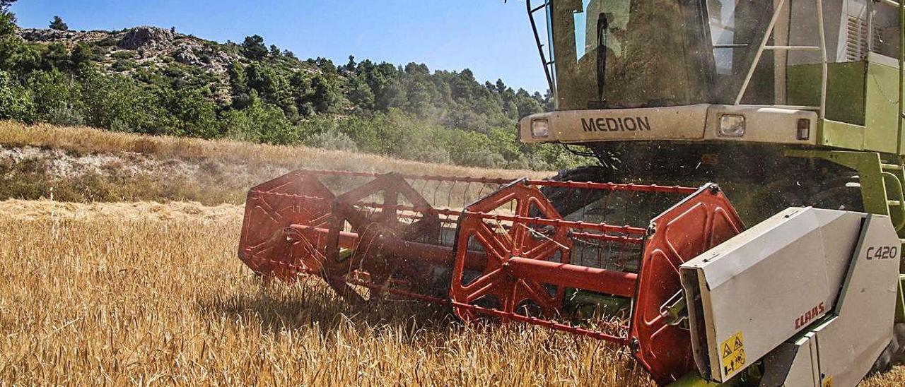 La provincia cierra la campaña de cereales con 3.000 toneladas menos